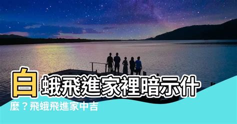 蛾飛來家裡|家中飛蛾暗示什麼？專家解析